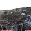 18_05-nest.jpg