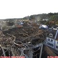 18_10-nest.jpg