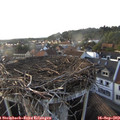 18_15-nest.jpg