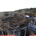 18_20-nest.jpg