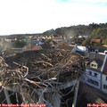 18_25-nest.jpg
