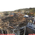 18_30-nest.jpg