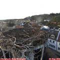 18_35-nest.jpg