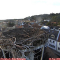 18_40-nest.jpg