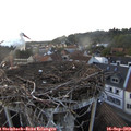 19_05-nest.jpg