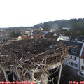 07_15-nest.jpg
