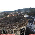 07_20-nest.jpg
