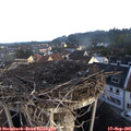 07_25-nest.jpg