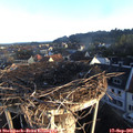 07_35-nest.jpg