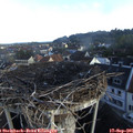 07_40-nest.jpg