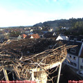 07_45-nest.jpg