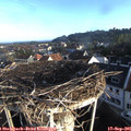 07_50-nest.jpg