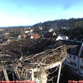 08_00-nest.jpg