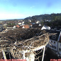 08_15-nest.jpg