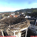 08_25-nest.jpg