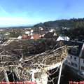 08_30-nest.jpg