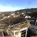 08_35-nest.jpg