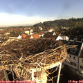 08_40-nest.jpg