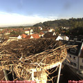 08_45-nest.jpg