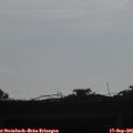 08_50-mast.jpg