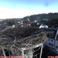 08_55-nest.jpg