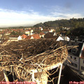 09_00-nest.jpg