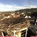 09_05-nest.jpg