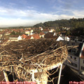 09_10-nest.jpg