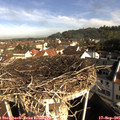 09_15-nest.jpg