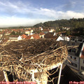 09_20-nest.jpg