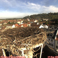 09_25-nest.jpg
