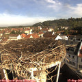 09_30-nest.jpg