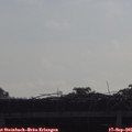 09_35-mast.jpg