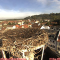 09_35-nest.jpg