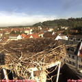 09_40-nest.jpg