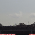 09_45-mast.jpg