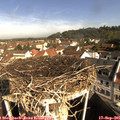 09_45-nest.jpg