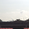 09_50-mast.jpg