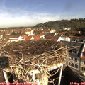 09_50-nest.jpg