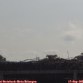 09_55-mast.jpg