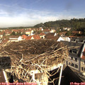 09_55-nest.jpg