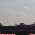 10_00-mast.jpg