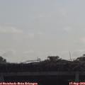 10_05-mast.jpg