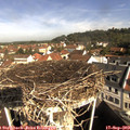 10_05-nest.jpg