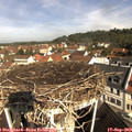 10_25-nest.jpg