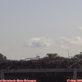 10_50-mast.jpg