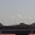 10_55-mast.jpg