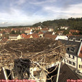 10_55-nest.jpg
