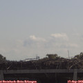 11_05-mast.jpg