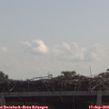 11_10-mast.jpg